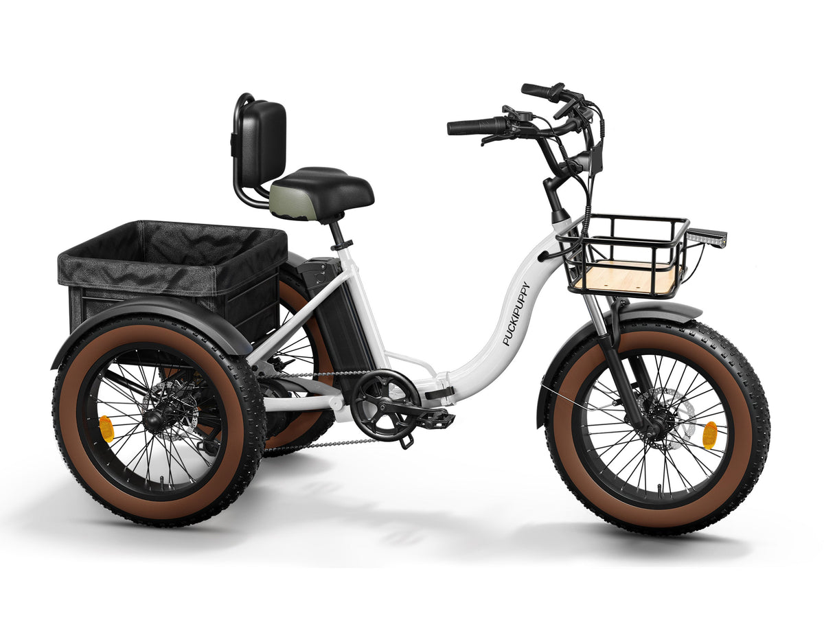 Puckipuppy - Alaskan E-Trike