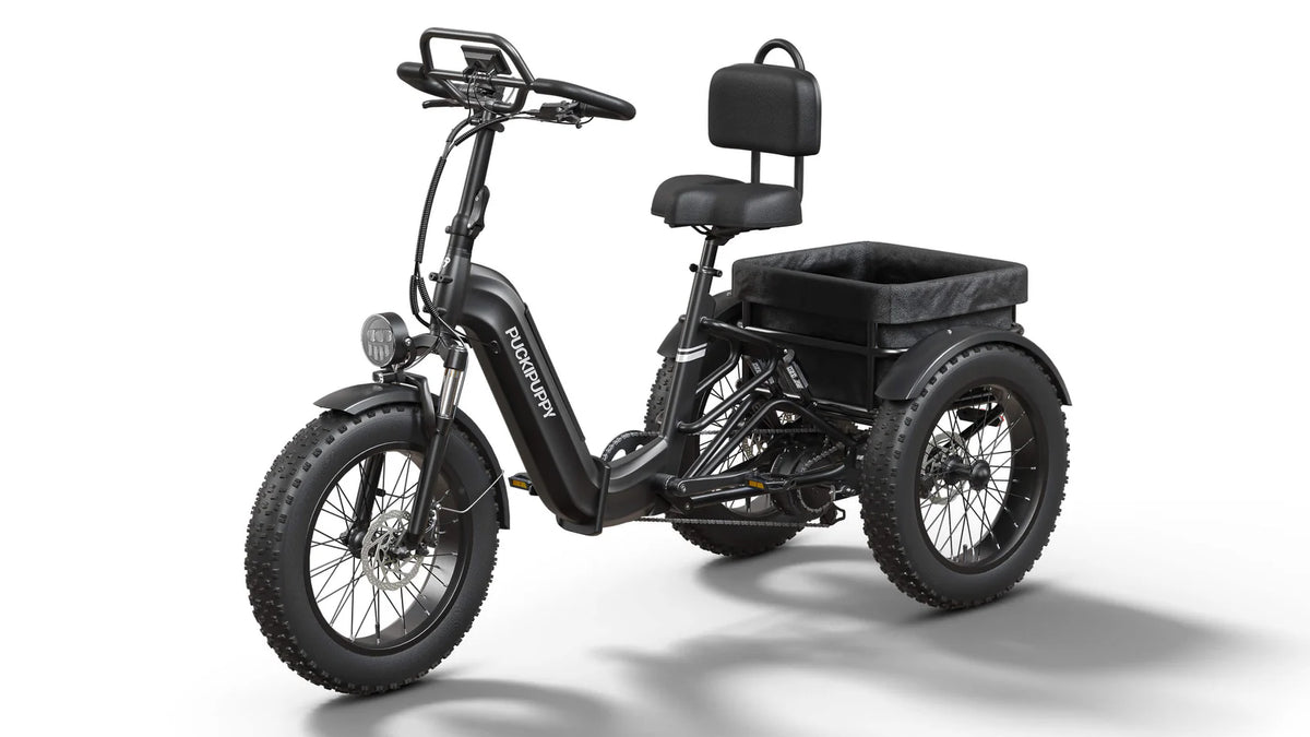 Puckipuppy - Rottweiler E-Trike