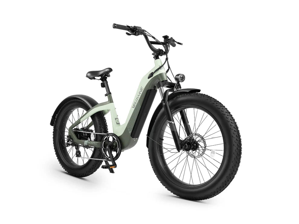 Velowave Grace 2.0 - Step-Through EBike