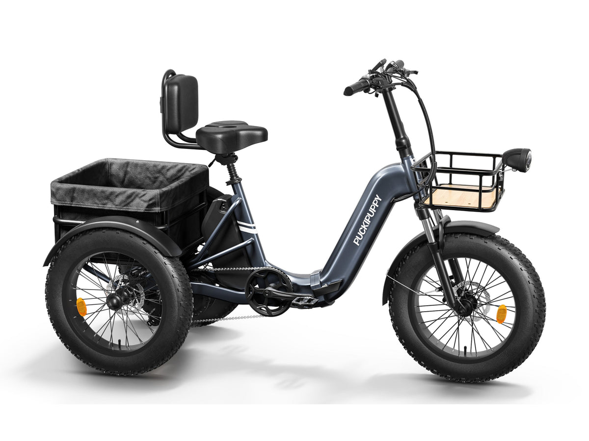 Puckipuppy - Husky E-Trike