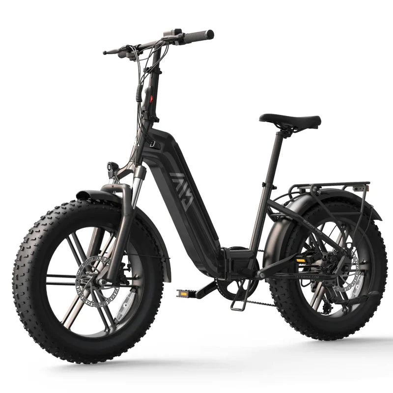 TST® Buddy Pro 20'' Folding Ebike
