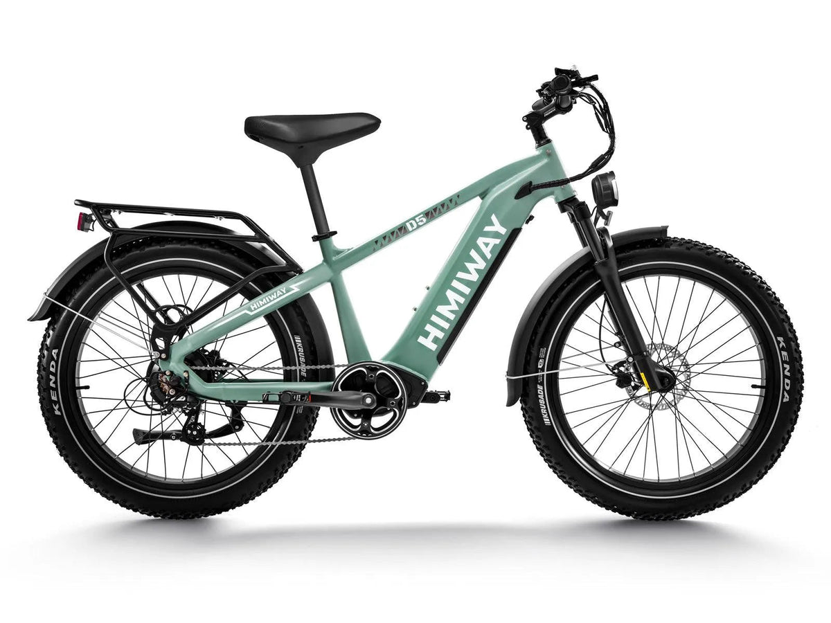 Himiway D5 Zebra All-Terrain Fat-Tire Electric Bike