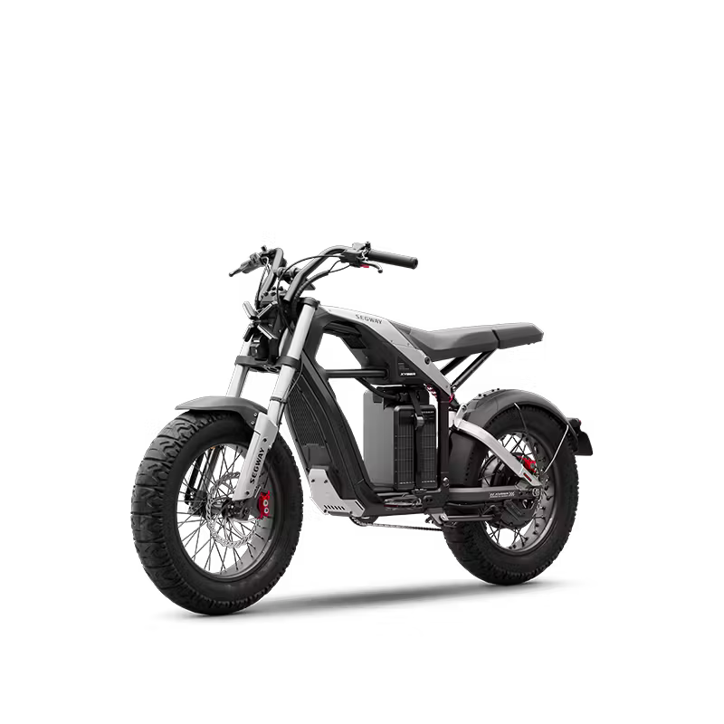 Segway Xyber Electric Bike