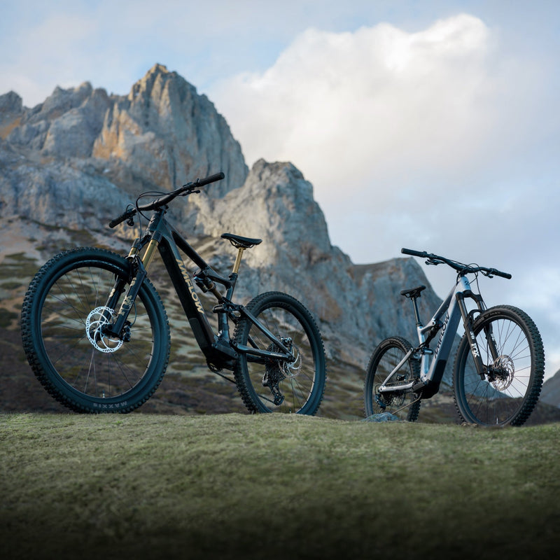 E-MTB Electric Mountain Bikes
