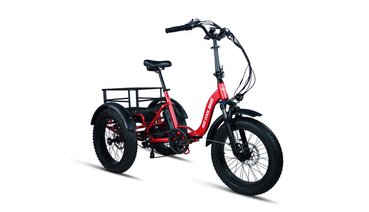 Bee Zipper Foldable Long Range eTrike - Bee Zipper