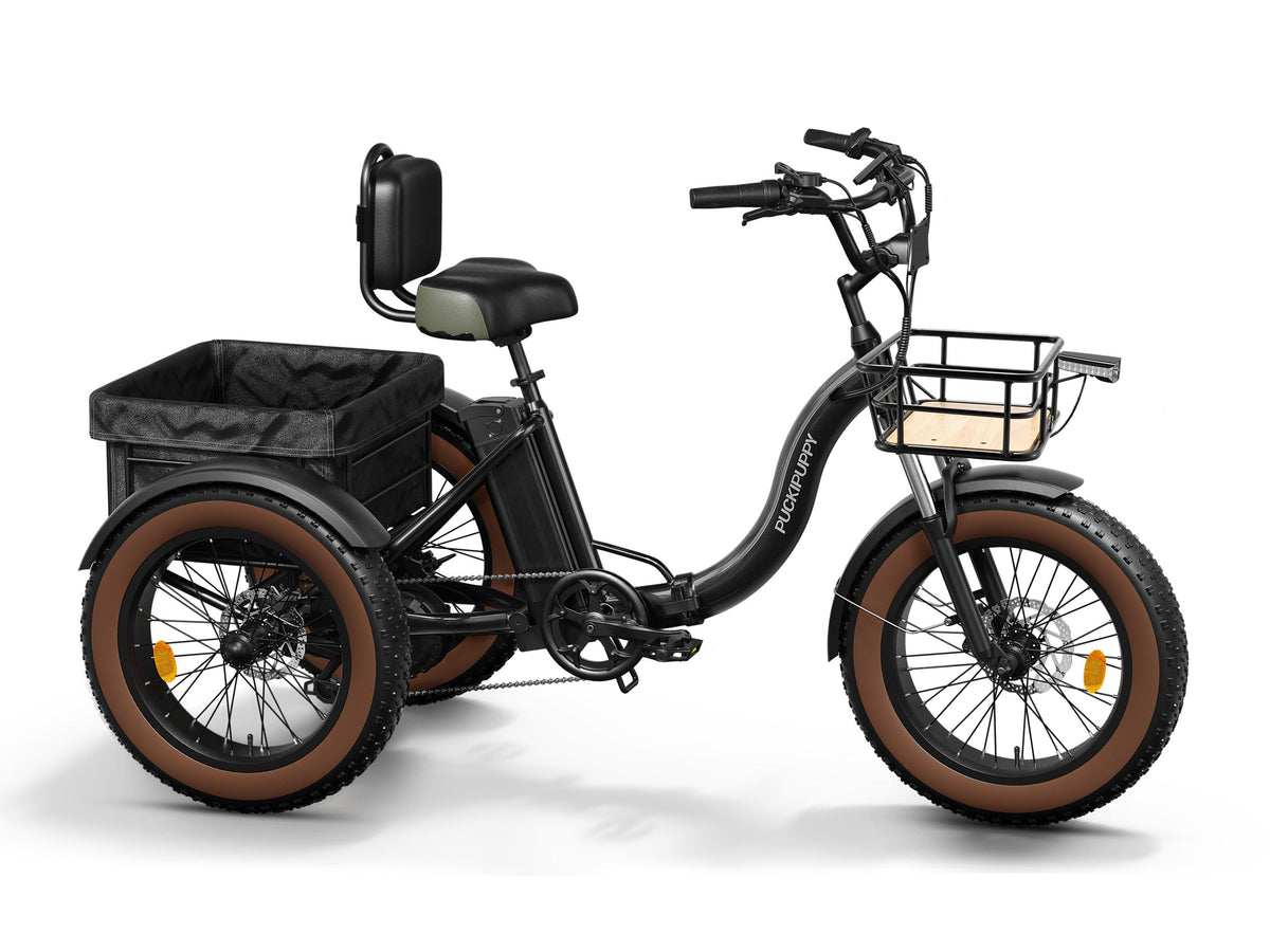 Puckipuppy - Alaskan E-Trike
