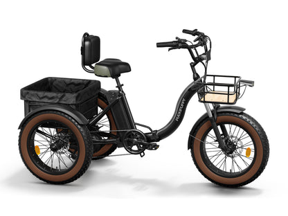 Puckipuppy - Alaskan E-Trike