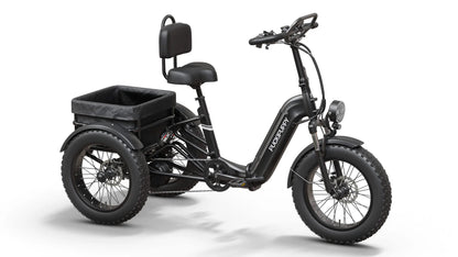 Puckipuppy - Rottweiler E-Trike