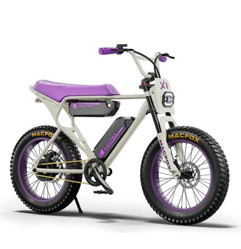 Macfox E-bike X1S x Bs.zay