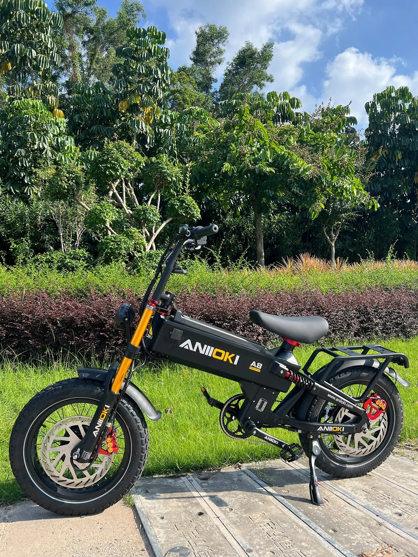ANIIOKI A8 Pro Max 52V Dual Motor Ebike