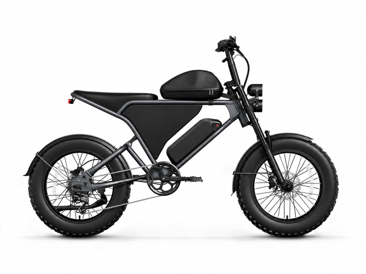 Puckipuppy - Schnauzer Ebike