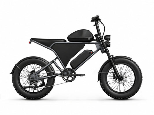 Puckipuppy - Schnauzer Ebike