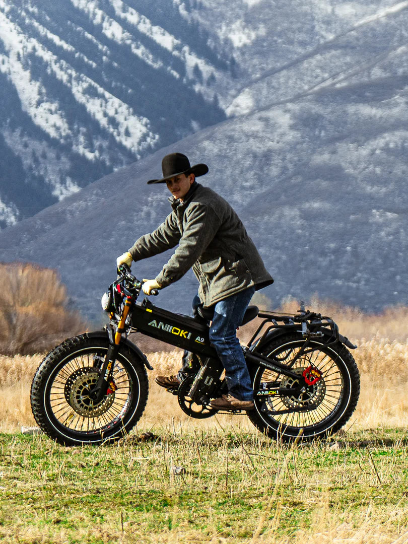 ANIIOKI A9 Pro Max 60V Dual Motor Ebike