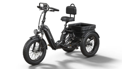 Puckipuppy - Rottweiler E-Trike