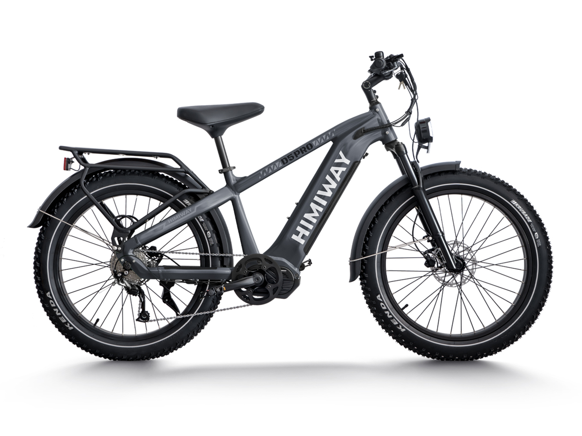 Himiway D5 Pro All-Terrain Fat-Tire Electric Bike