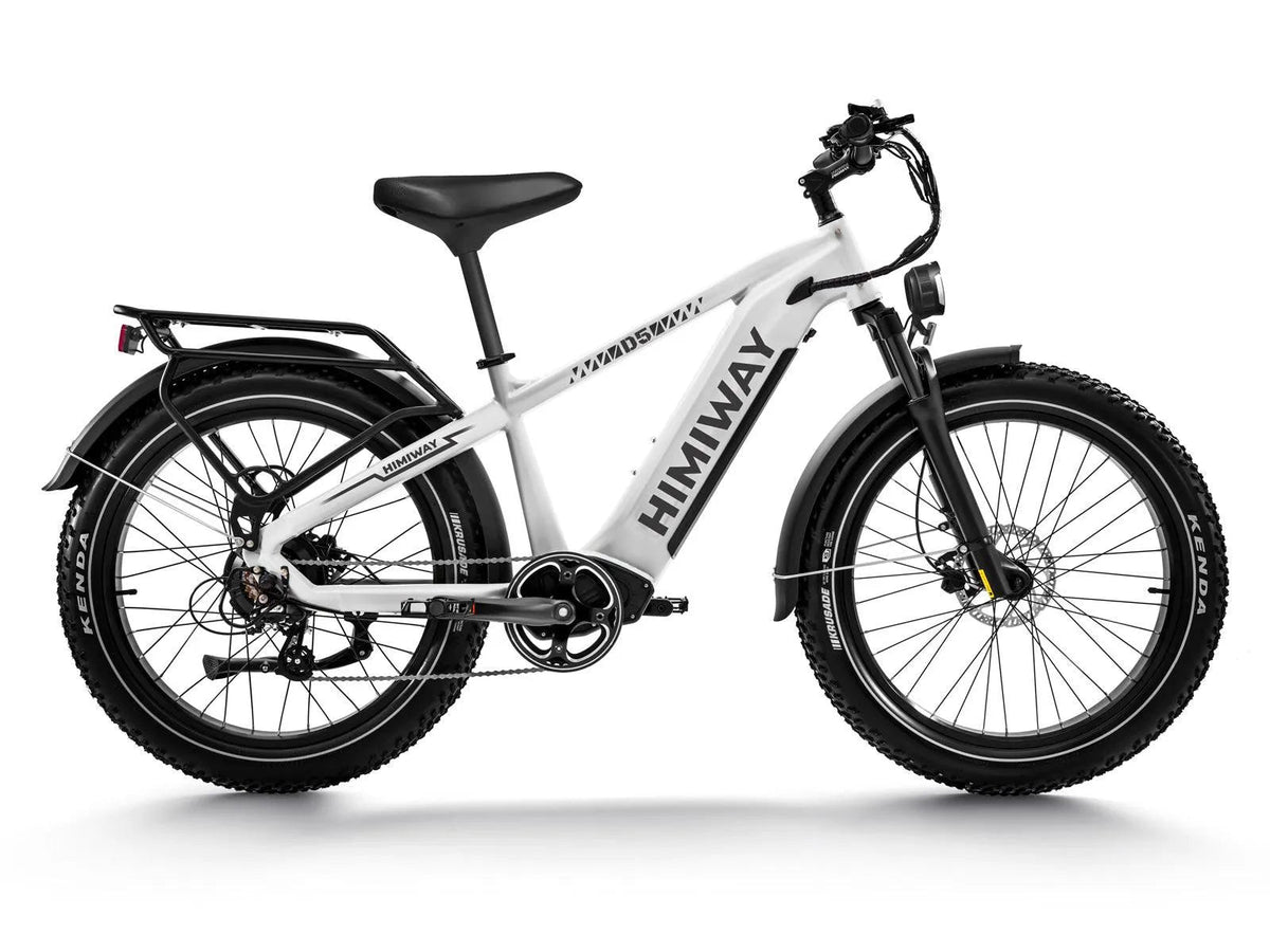 Himiway D5 Zebra All-Terrain Fat-Tire Electric Bike