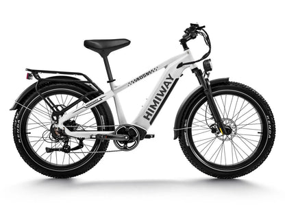 Himiway D5 Zebra All-Terrain Fat-Tire Electric Bike