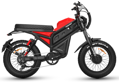 FREESKY Cheetah Ultra MT-380 Dual Motor, Fat-Tire Electric Bike