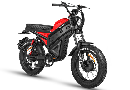 FREESKY Cheetah Ultra MT-380 Dual Motor, Fat-Tire Electric Bike