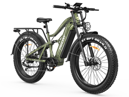 FREESKY Swift Horse Ultra X-6E Fat-Tire Electric Bike
