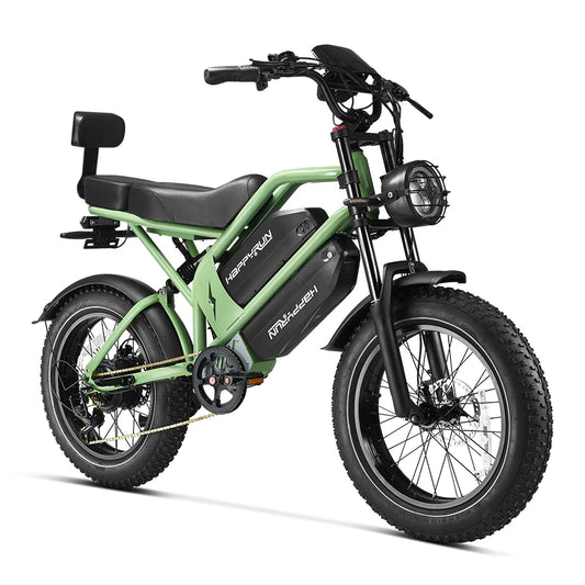 HappyRun G70 Pro Single-Motor Dual-Battery Electric Cargo Bike
