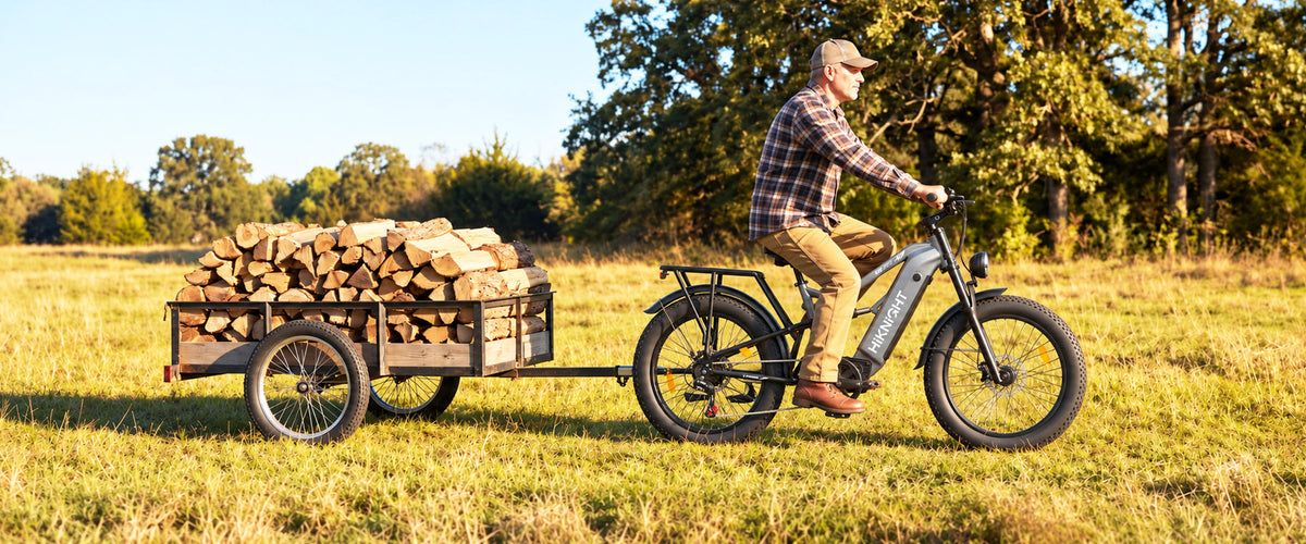HiKNiGHT H6 Fat Tire Off-Road Ebike