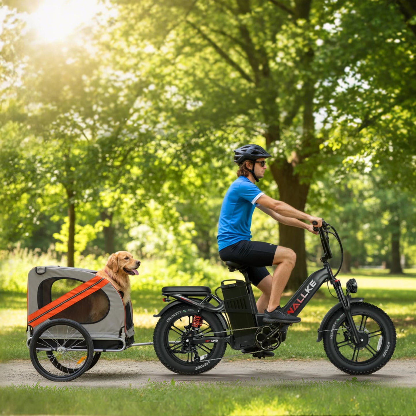 Wallke   H7   Step-Thru   |   3200W   Ebike   40/60Ah   Battery