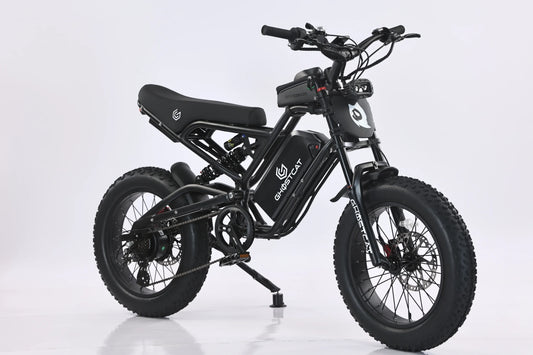 GhostCat F3 Moped/Motorcycle Style eBike