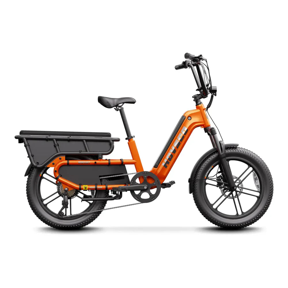 HOVSCO™   HovCart   20“   Step-Thru   Electric   Fat   Tire   Cargo   Bike