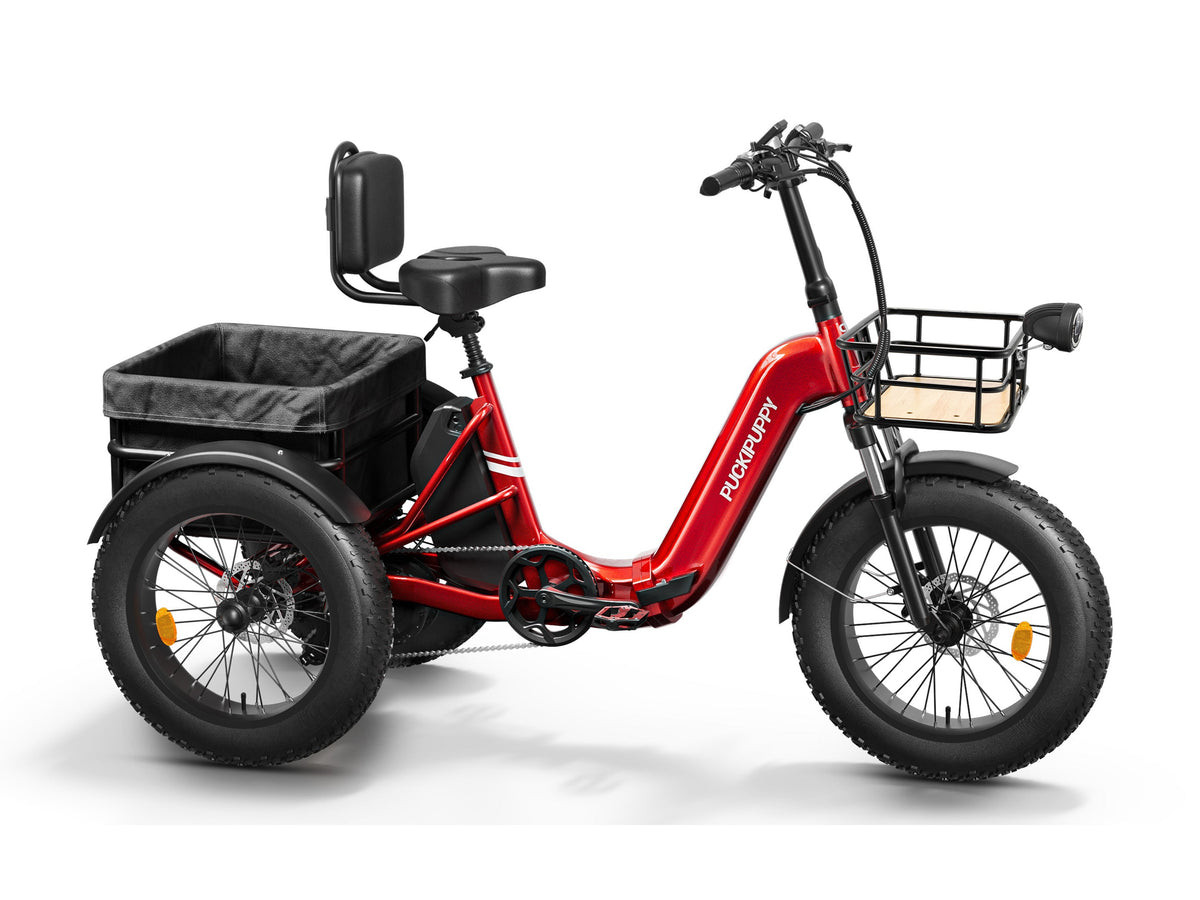 Puckipuppy - Husky E-Trike