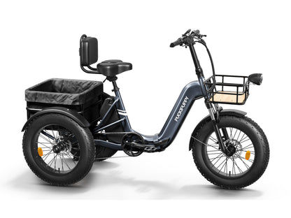 Puckipuppy - Husky E-Trike