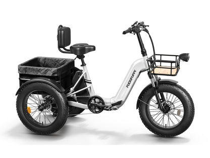 Puckipuppy - Husky E-Trike