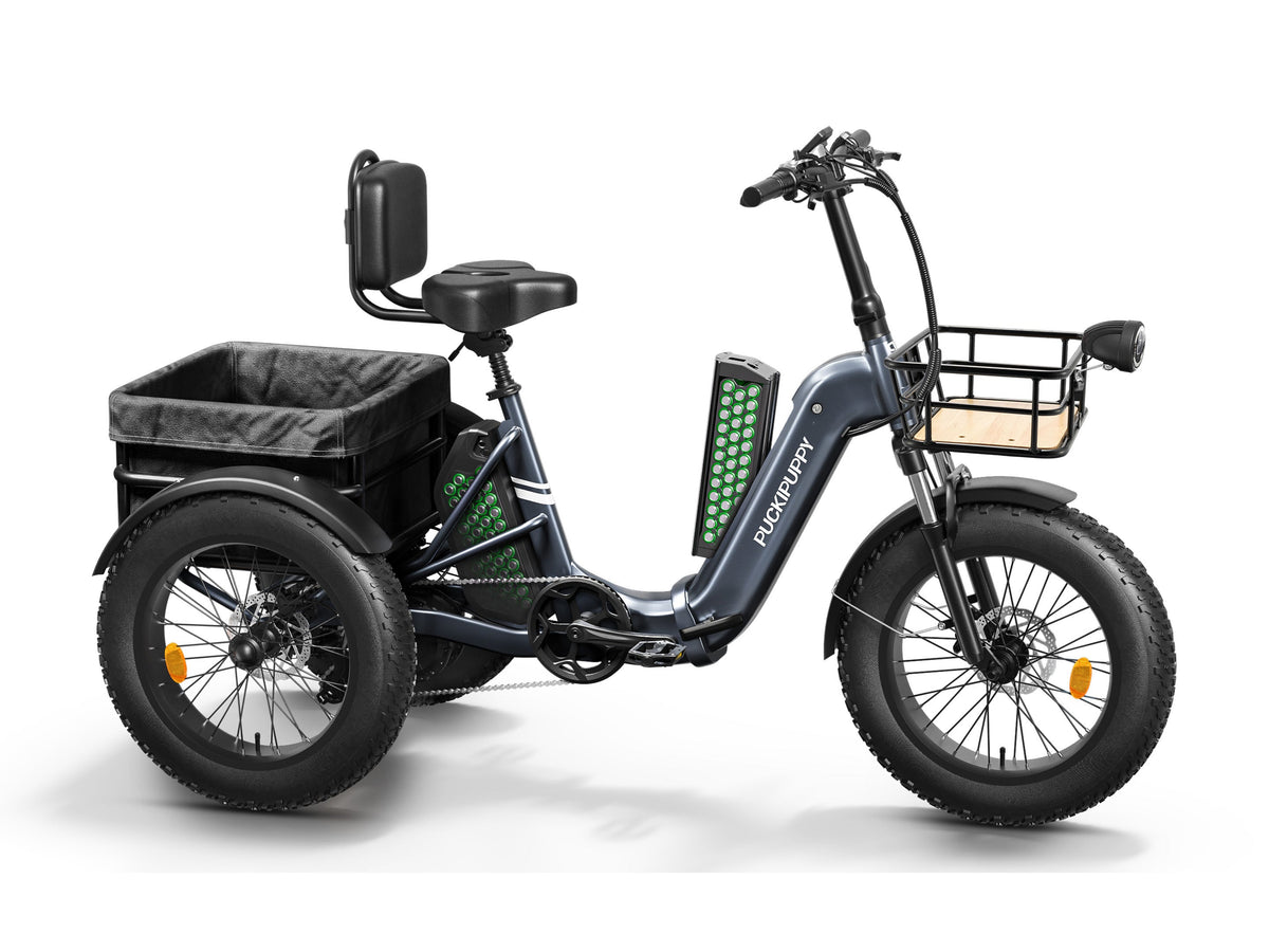 Puckipuppy - Husky Plus E-Trike