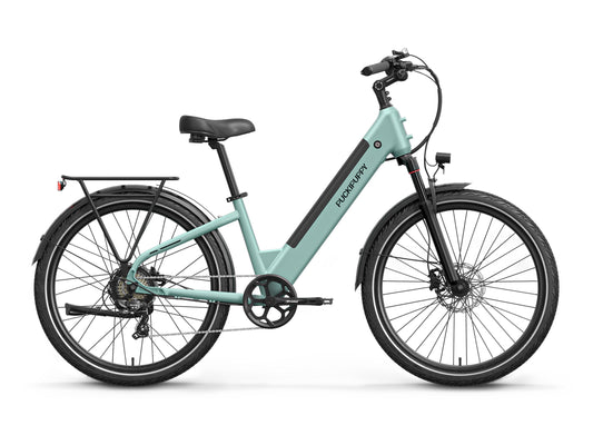 Puckipuppy - Poodle Ebike