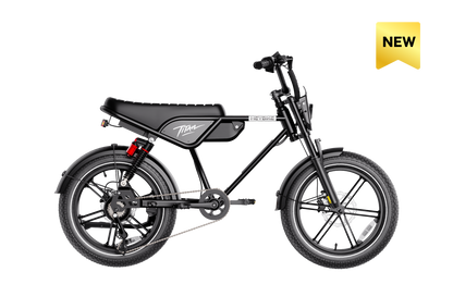 HeyBike Titan