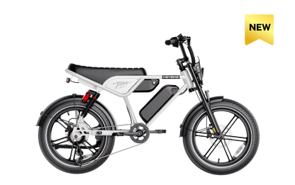 HeyBike Titan