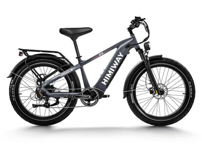 Himiway D5 Zebra All-Terrain Fat-Tire Electric Bike