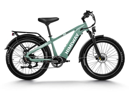 Himiway D5 Zebra All-Terrain Fat-Tire Electric Bike