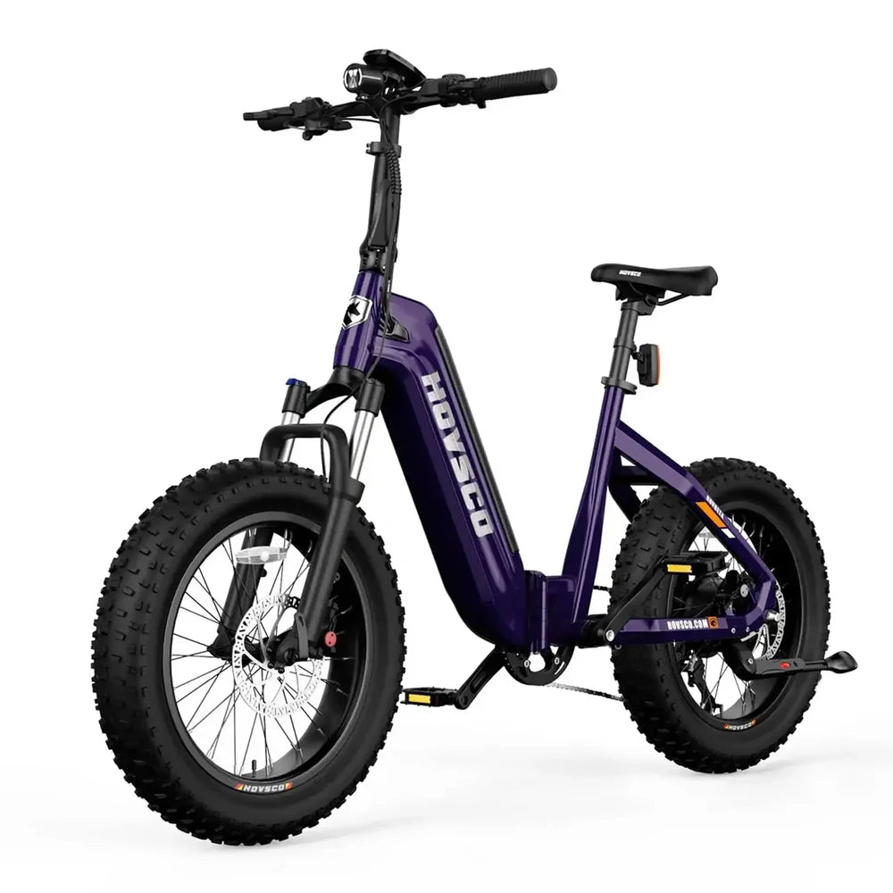 HOVSCO™   HovBeta   20"   Foldable   Fat   Tire   Electric   Bike